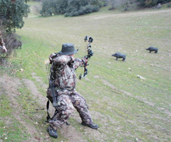 Los Robin Hood de Madrid: 55 cazadores con arco para 'controlar' a los jabalíes